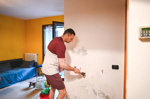 Best Health and Safety Mold Remediation in Munising, MI